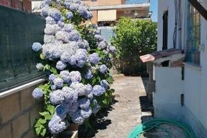 Lavinio villino mare