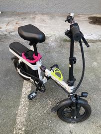 Bicicletta elettrica