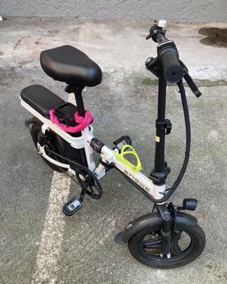 Bicicletta elettrica