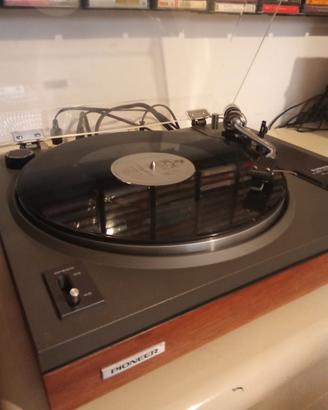 Piatto Pionner PL 112 D