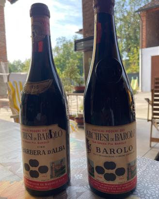 Bottiglie di vino