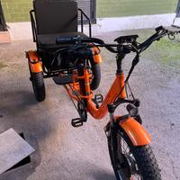 Bici elettrica tre ruote