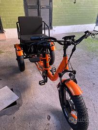 Bici elettrica tre ruote