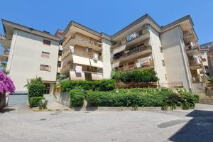 5 LOCALI A PELLEZZANO
