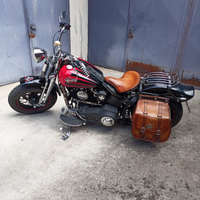 Night Train Springes