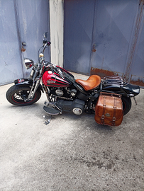 Night Train Springes