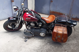 Night Train Springes