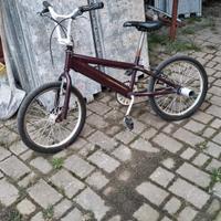 Bicicletta bmx  da 20 pollici