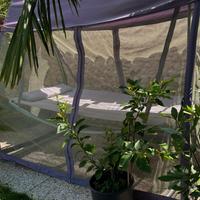 Amaca con zanzariera 