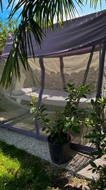 Amaca con zanzariera 