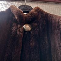 pelliccia in Castoro
