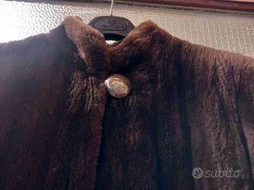 pelliccia in Castoro