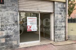 Negozio Brindisi [SG329 - 2ACG] (S. Chiara)