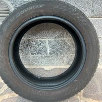Gomme da neve