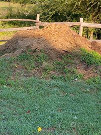 Fertilizzante