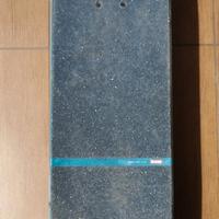 SKATEBOARD GLOBE NATURE