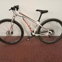 MTB Specialized da 29