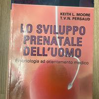 Lo sviluppo prenatale dell’uomo