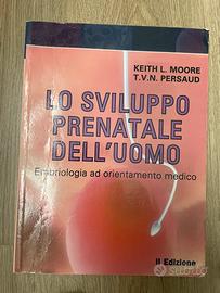 Lo sviluppo prenatale dell’uomo