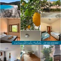 La casa del cedro a Teulada