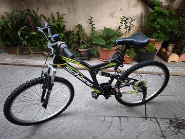 Mountain Bike Schiano