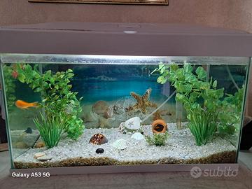 acquario bianco 54 litri