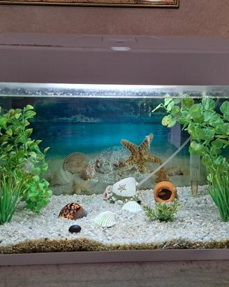 acquario bianco 54 litri