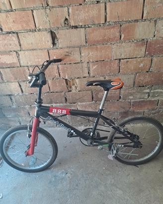 bicicletta 
