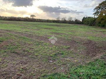 TER. RESIDENZIALE A CASERTA