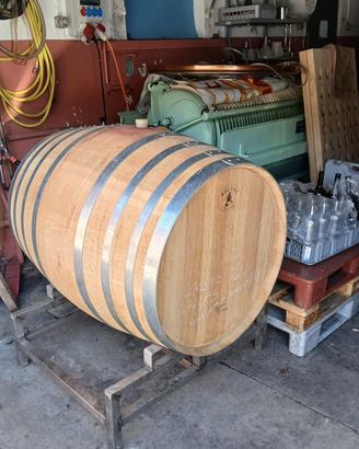 Botte per vino 500 litri