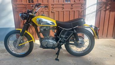 ducati scrambler 450