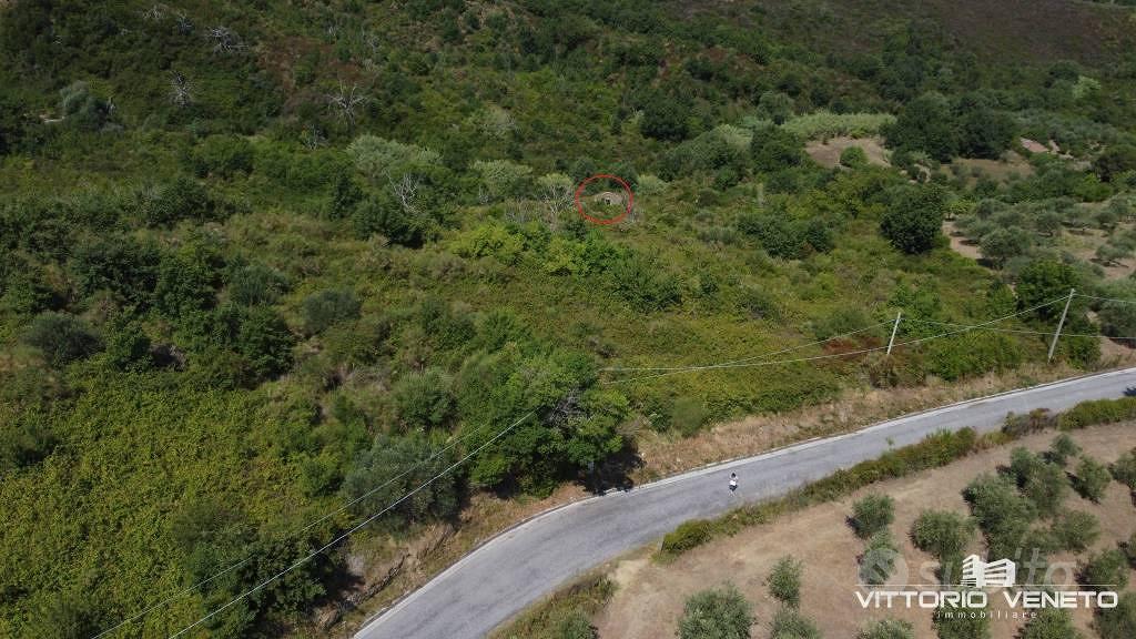 Terreno di 29526 m² a Laureana Cilento - Vista 3