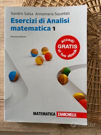 Esercizi di analisi matematica 1 Salsa - Squellati