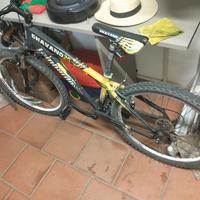 bicicletta