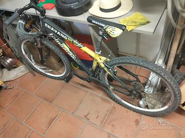 bicicletta