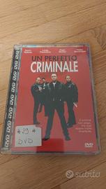 Un perfetto criminale