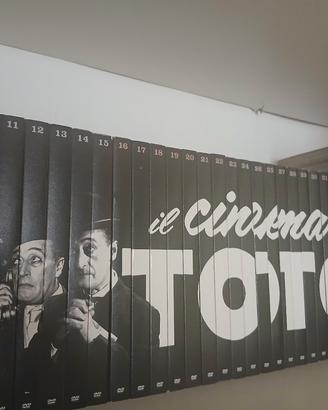 50 dvd film toto'