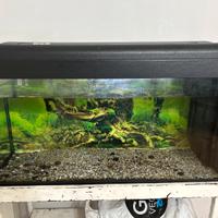 acquario 120 lt con il mobiletto