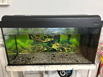 acquario 120 lt con il mobiletto