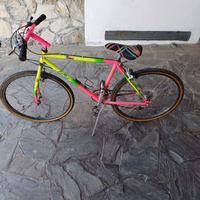 bici mountain bike