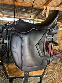 Sella winner da dressage