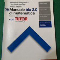 Manuale blu 2.0 di matematica 3B