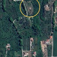 Casolare con terreno - Piedimonte Matese