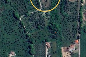 Casolare con terreno - Piedimonte Matese