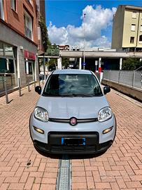 Fiat Panda Hybrid