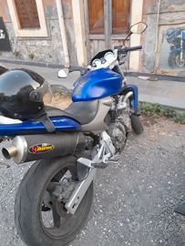 honda hornet 600
