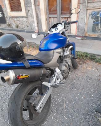 honda hornet 600