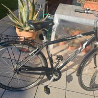 BICI DA TURISMO PEGASUS 