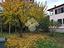 Immagine 22