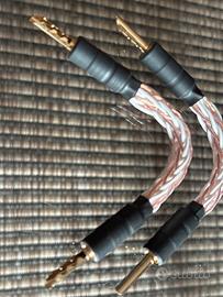 Magnaplanar ponticelli diffusori Kimber